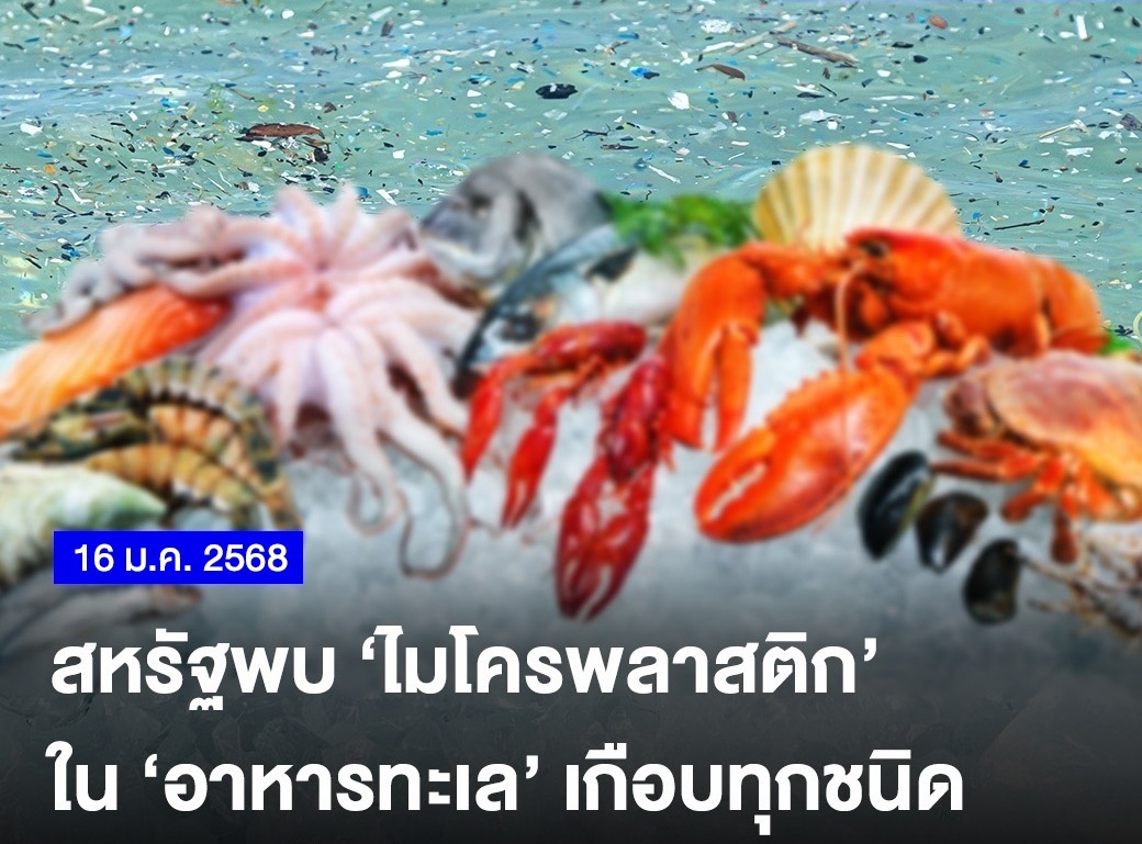 สหรัฐพบ ‘ไมโครพลาสติก’ ใน ‘อาหารทะเล’ เกือบทุกชนิด ฝังอยู่ในเนื้อสัตว์ ล้างออกได้ไม่หมด