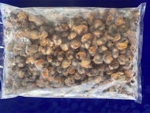 เนื้อหอยคราง