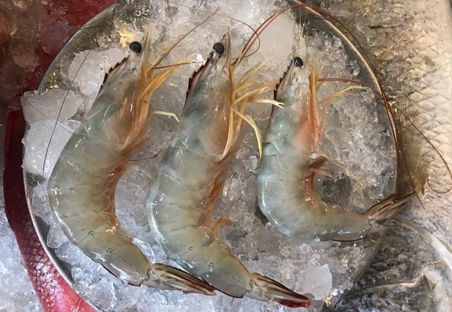 กุ้งค็อกเทล